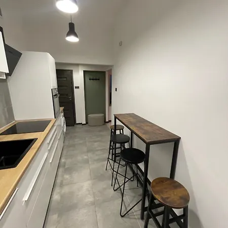 Apartament Iron Loft